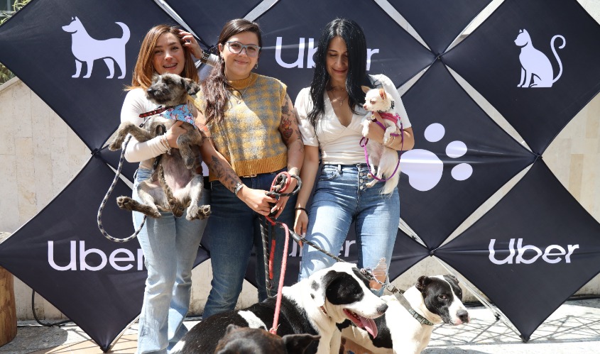 Uber Pet: La nueva forma de viajar con tus mascotas en México